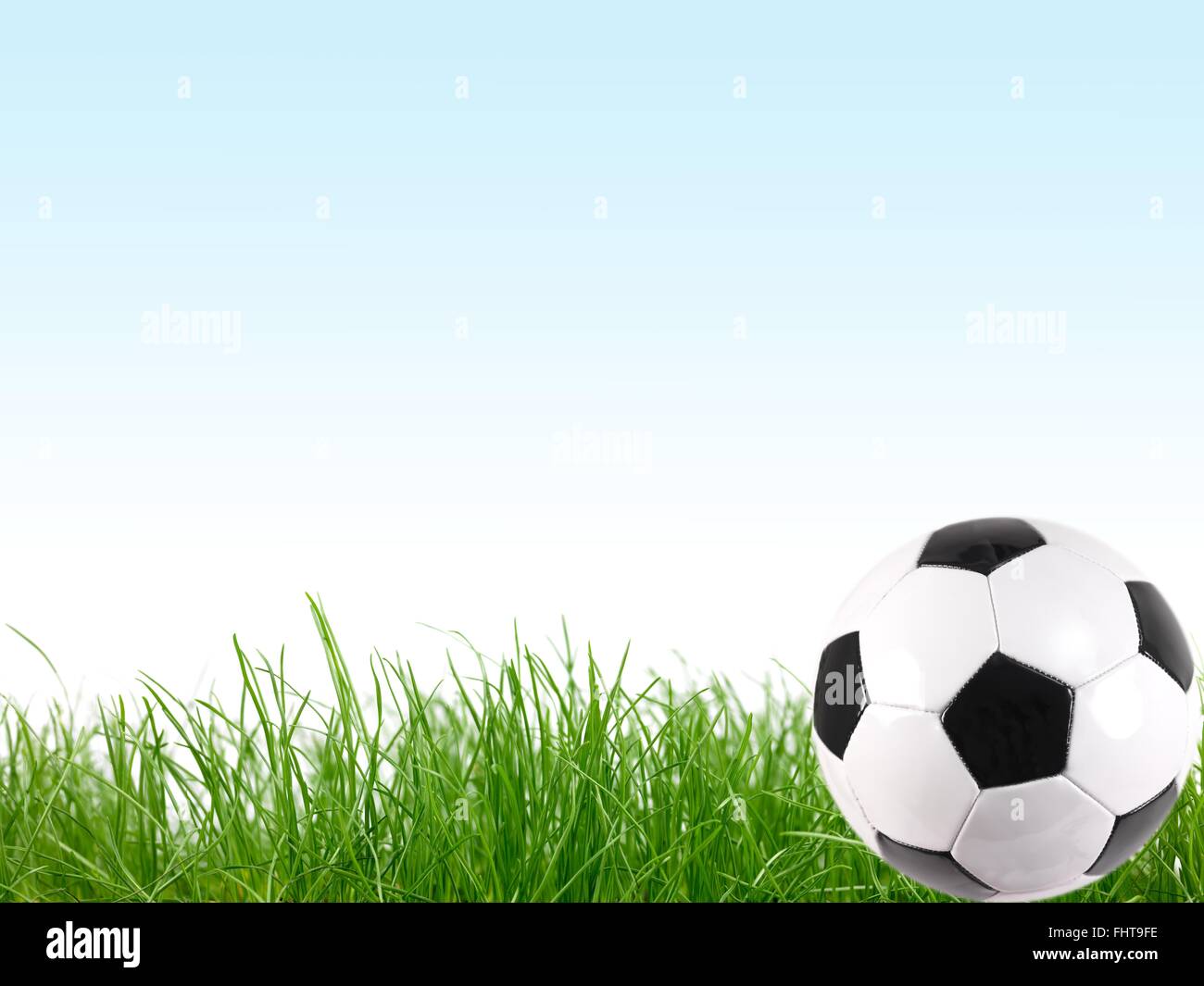 Un des ballons de foot sur l'herbe verte Banque D'Images
