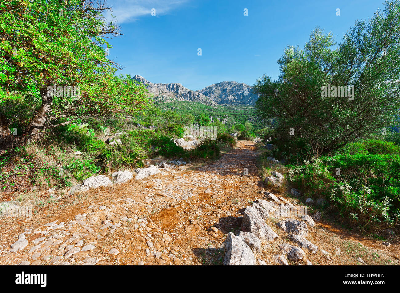 Chemin de terre Banque D'Images