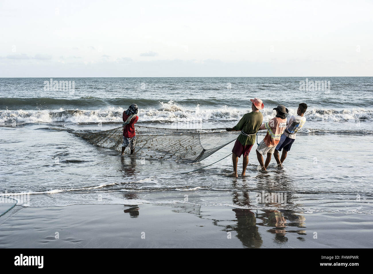 La pêche de crevettes et de sardines avec network Banque D'Images