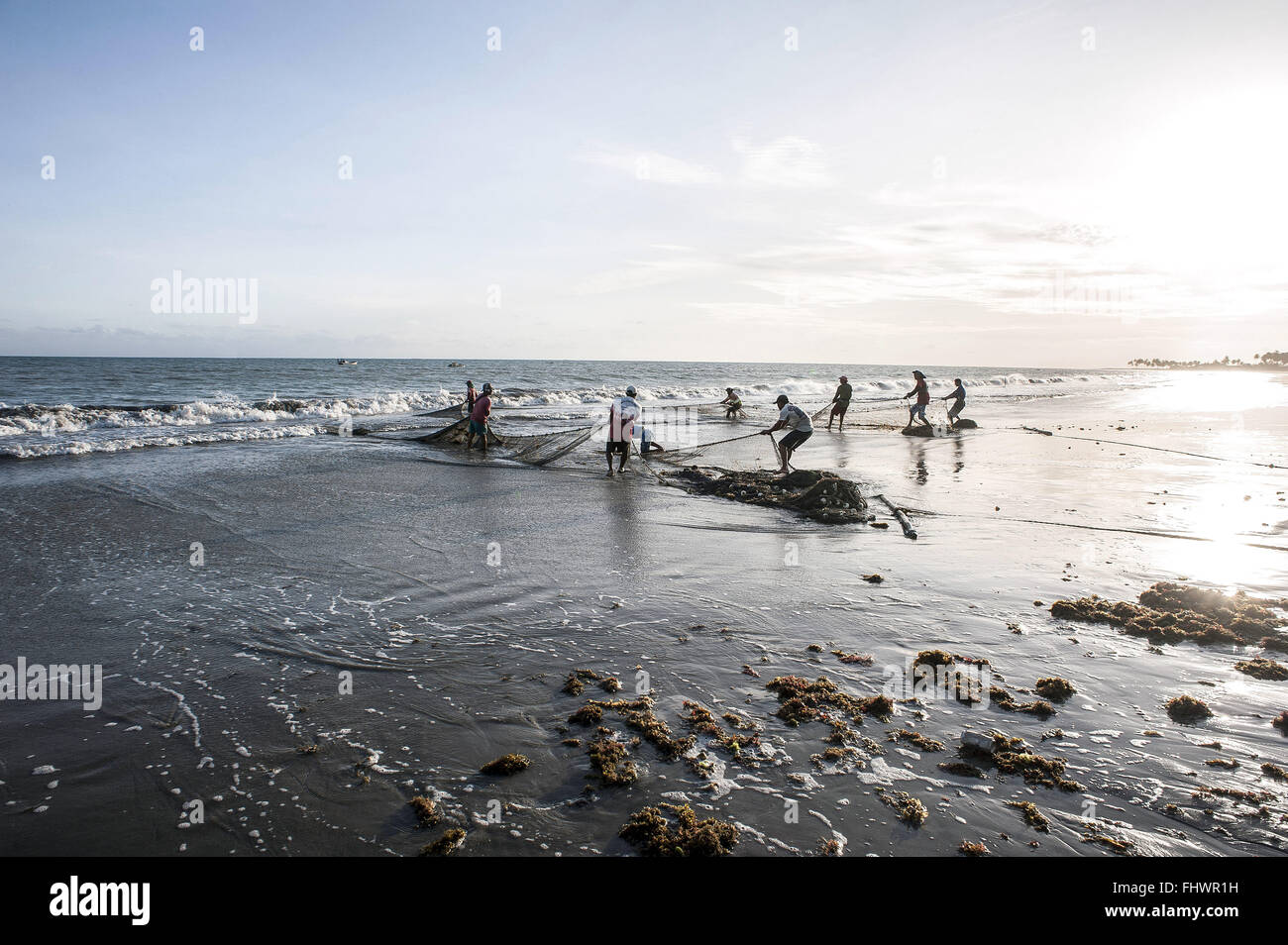 La pêche de crevettes et de sardines avec network Banque D'Images