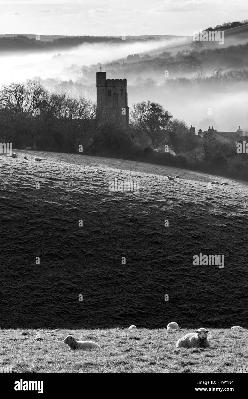 L'église St Mary, Devon,Dunsford Dartmoor National Park,brouillard,Teign Valley,brouillard,Grande-Bretagne, British, campagne, Devon, Angleterre, engl Banque D'Images