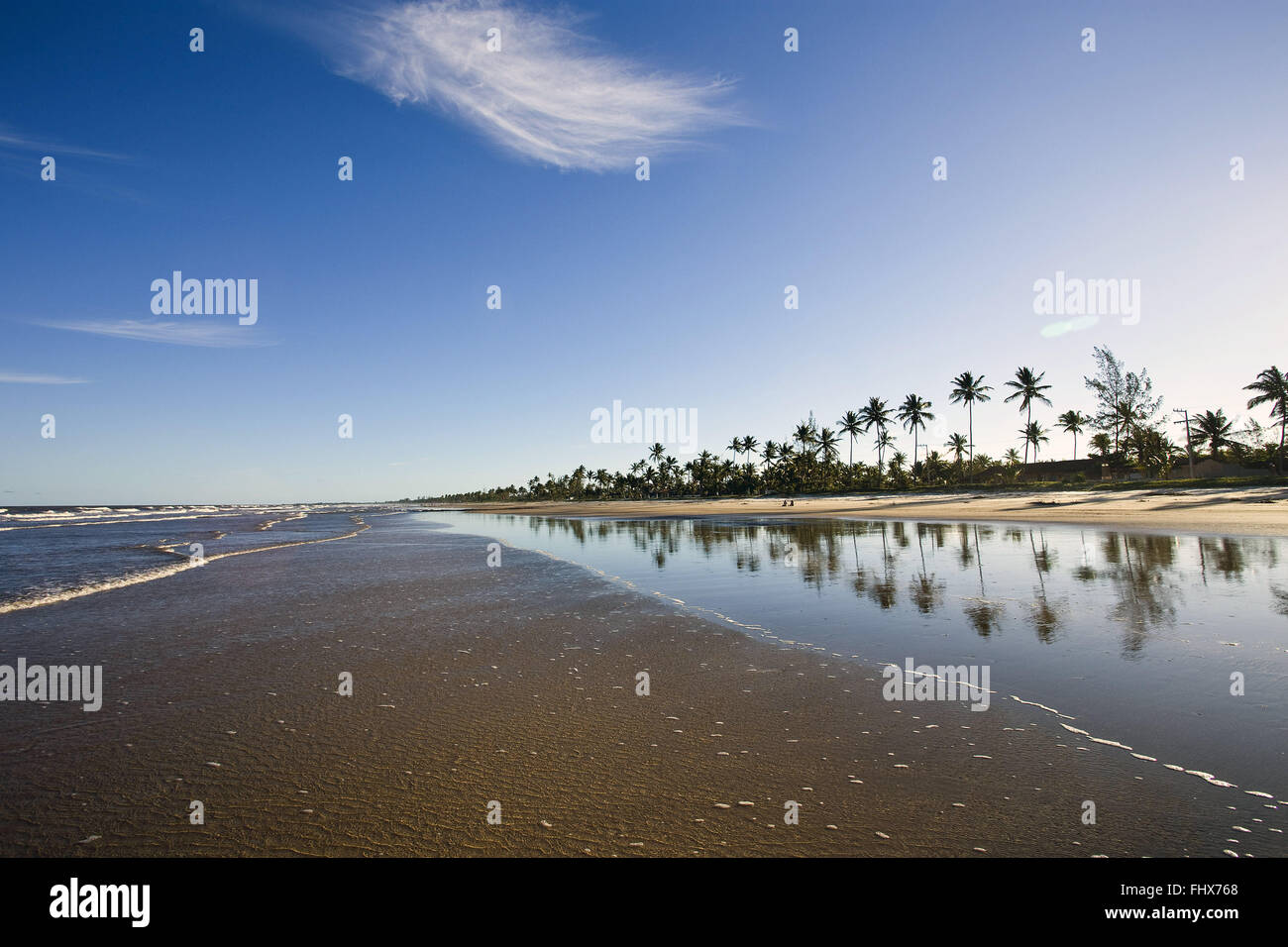 Paysage avec plage et cocotiers Banque D'Images