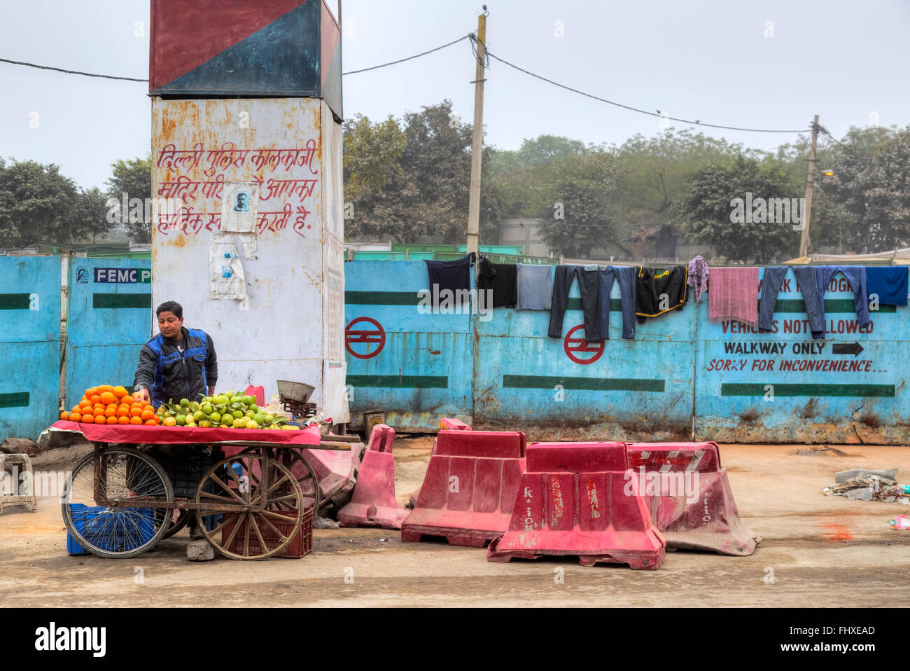 Vendeur de rue pour les fruits à New Delhi, Inde, Asie Banque D'Images