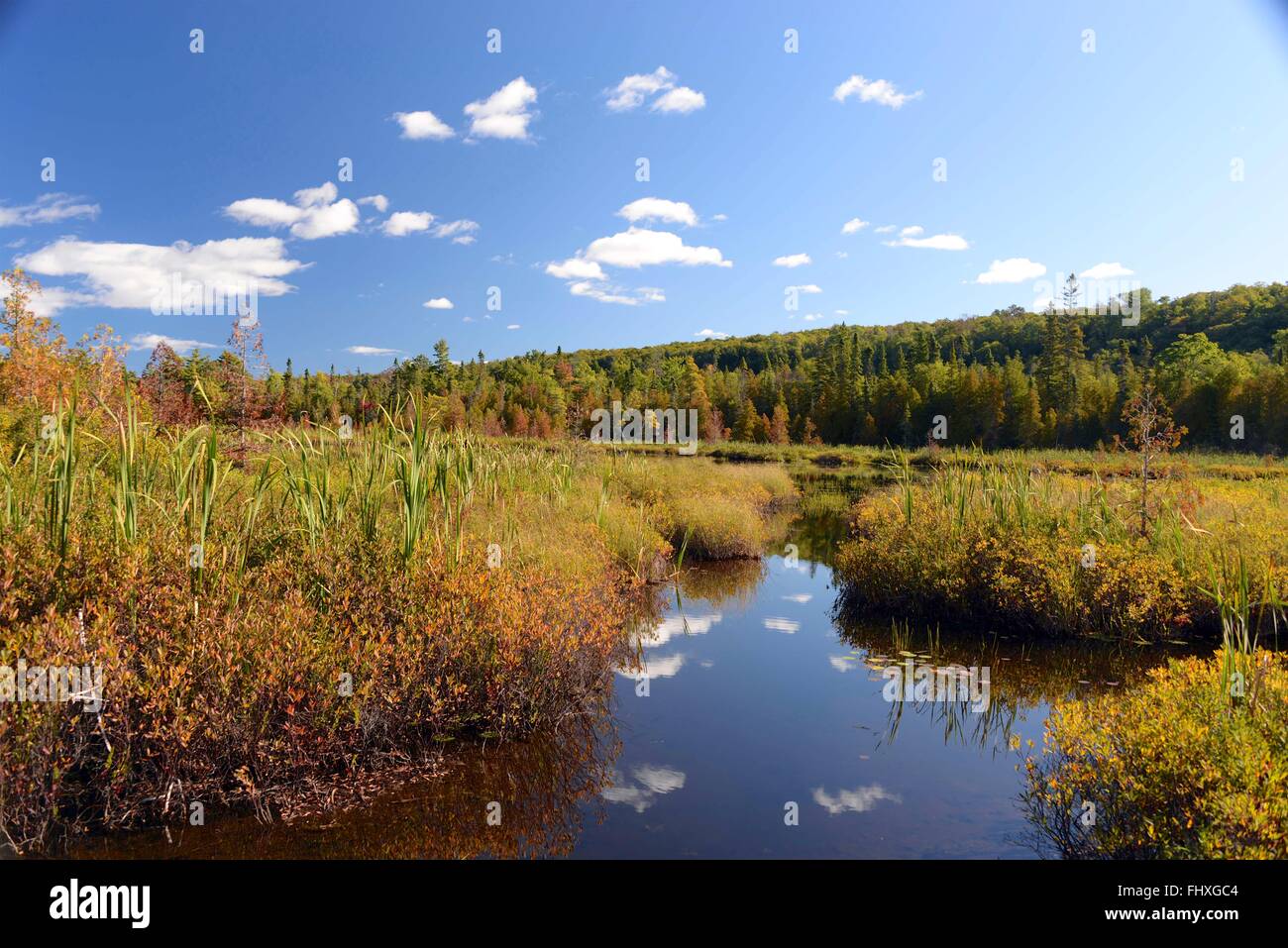 Sand Point Marsh, Pictured Rocks National Lakeshore, au Michigan Banque D'Images