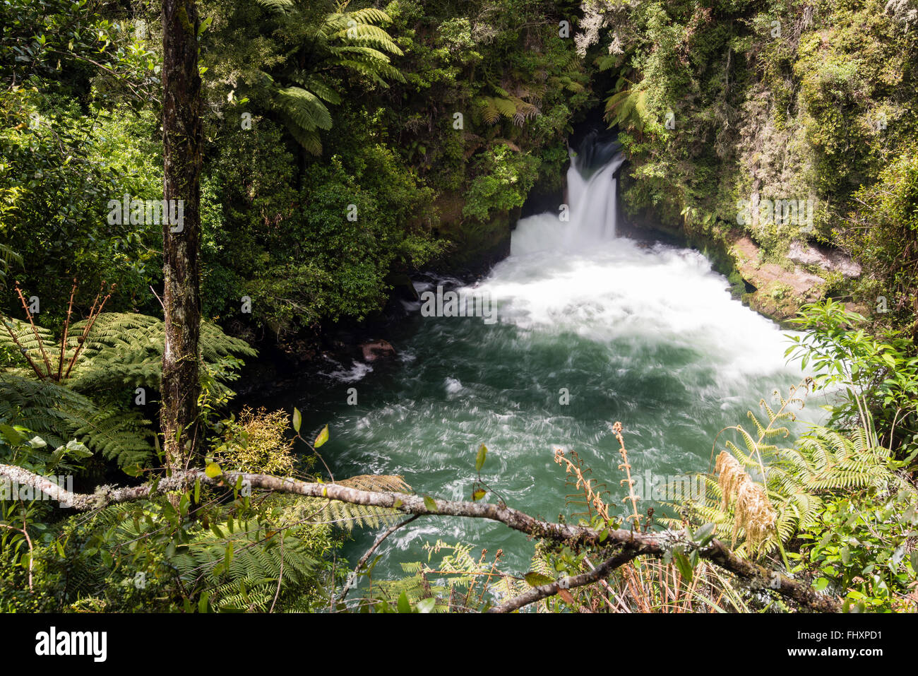 Okere Falls, New Zealand Banque D'Images