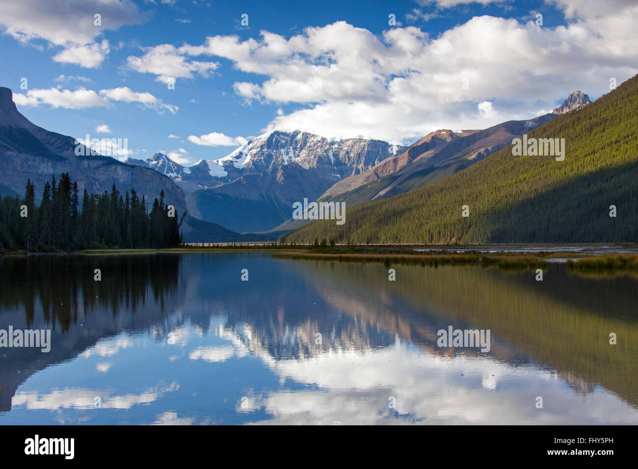 Mont Kitchener reflétée dans le ruisseau de beauté extérieure près de la rivière Sunwapta, Jasper National Park, Alberta, Canada Banque D'Images