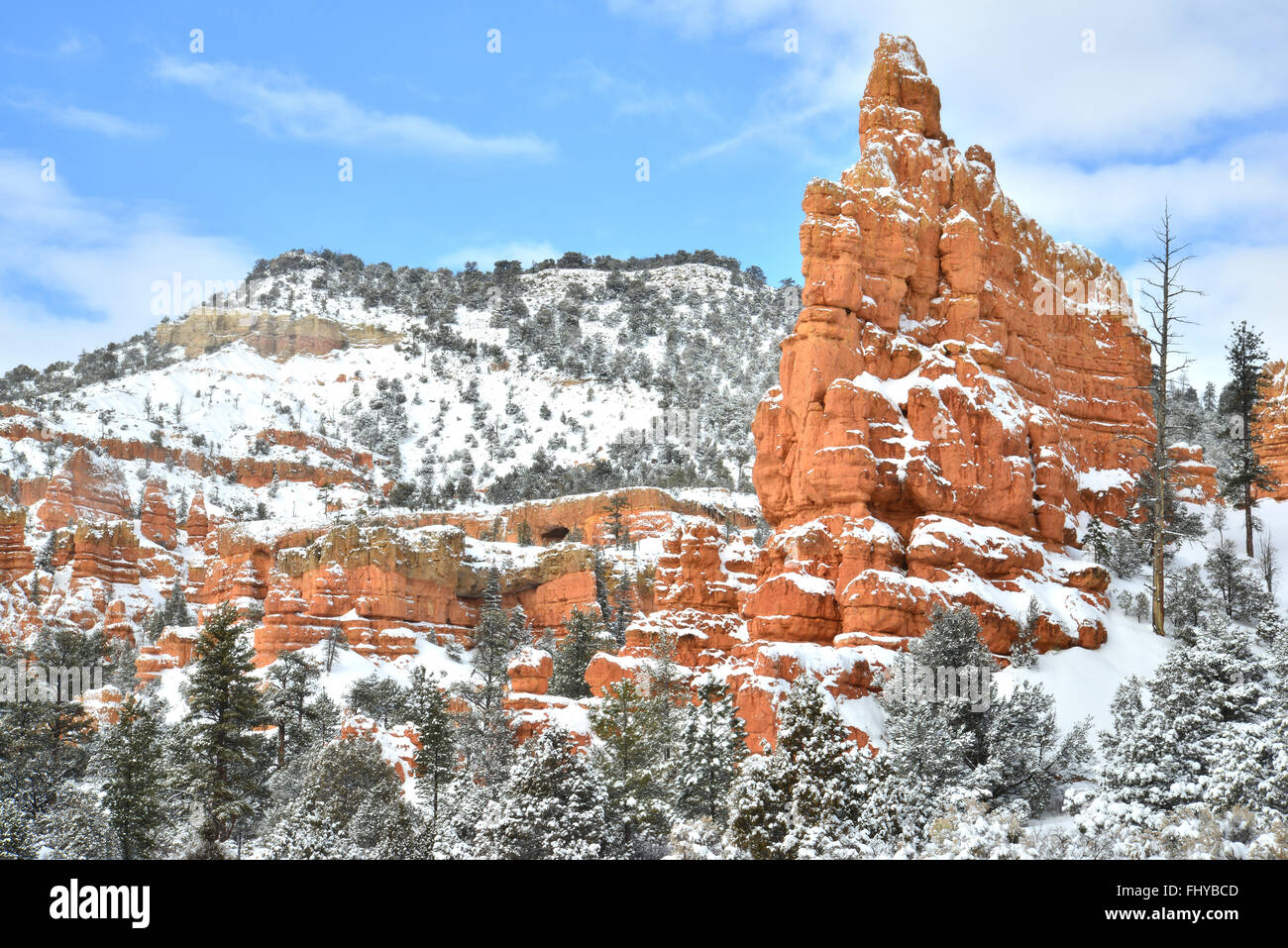Belle rouge couvert de neige le long du Canyon Scenic Byway 12 par Dixie National Forest et près de Bryce Canyon dans le sud-ouest de l'Utah Banque D'Images