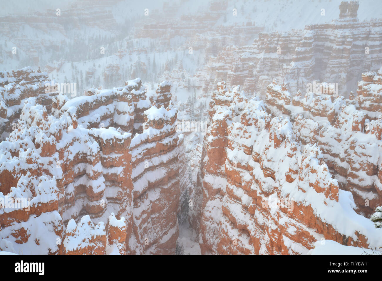 La ville silencieuse de Bryce Canyon National Park après une tempête de neige vu de la Rim Trail près de Sunset Point. Bryce est en soi de l'Utah. Banque D'Images