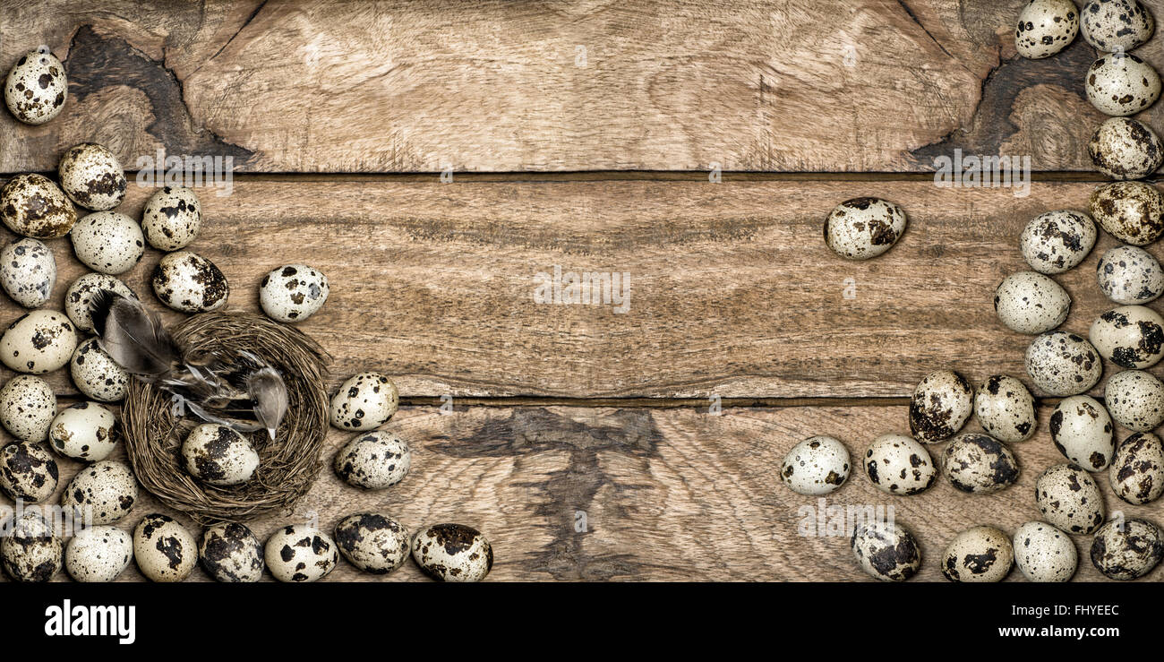 Décoration de pâques style vintage oiseau au nid et oeufs de cailles sur fond de bois rustique. Banque D'Images