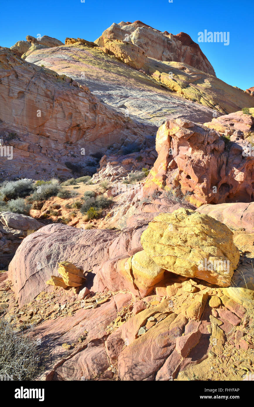 Grès coloré est partout dans la région de Valley of Fire State Park dans le sud-est de Nevada dans le sud-ouest américain Banque D'Images