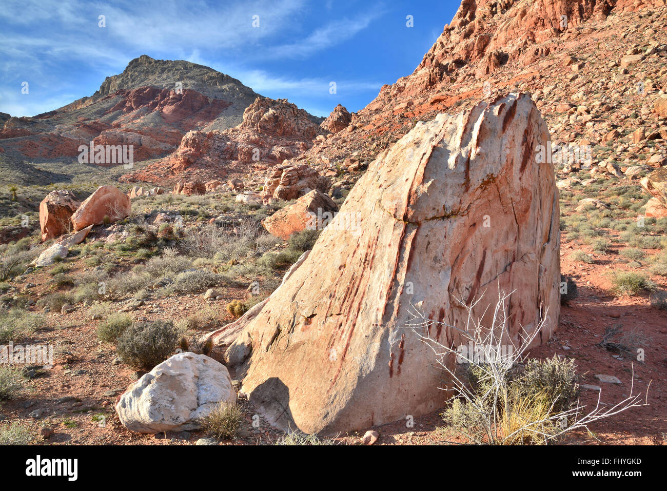 Soirée au bassin du calicot et du printemps près de Red Rock Canyon State Park et préserver l'ouest de Las Vegas, Nevada Banque D'Images