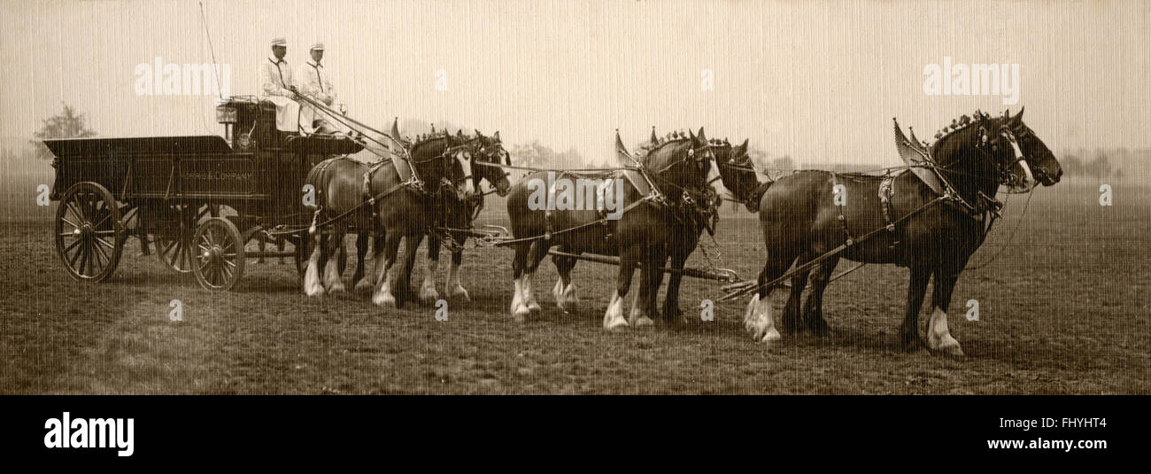 International Horse Show à l'Olympia, Londres, UK 1909 Banque D'Images