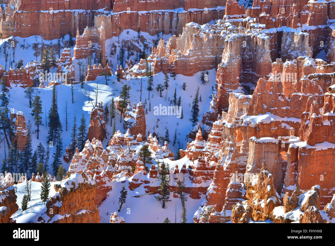 Soleil du matin sur la neige couverts hoodoos à Bryce Canyon National Park dans le sud-ouest de l'Utah vu de la Rim Trail près de Sunset Point. Banque D'Images