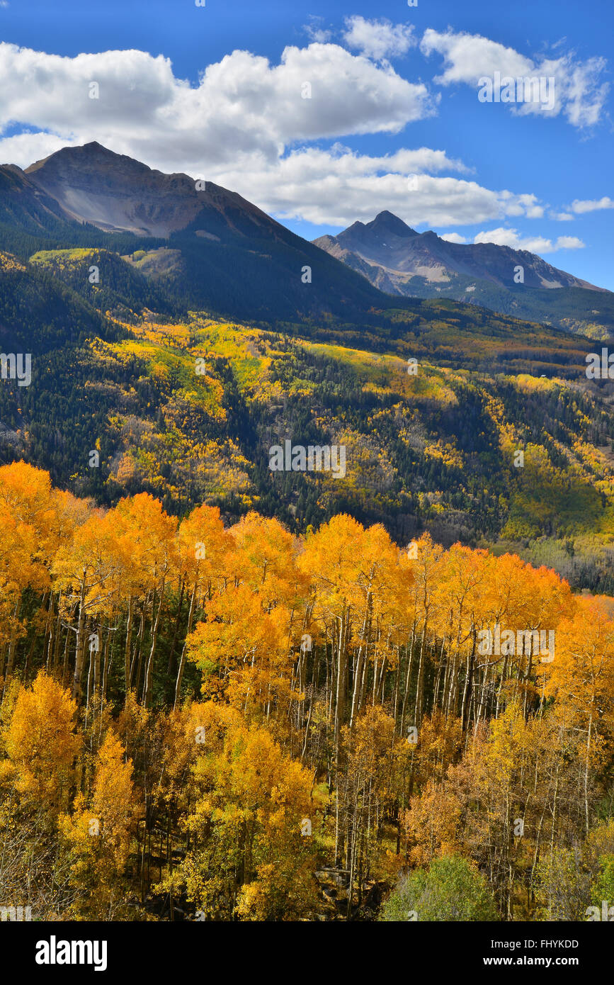 La couleur de l'automne vient à Colorado le long de l'autoroute 145 au sud de Telluride, Colorado, mais au nord du col de la tête de lézard. Banque D'Images