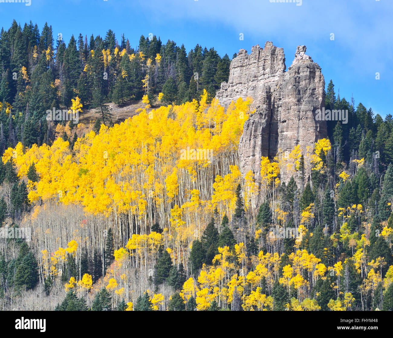 La couleur de l'automne vues le long de la route forestière de 858 Col Owl Creek à environ 20 milles à l'ouest de Ridgway, Colorado, et dans les grandes Cimarron Banque D'Images