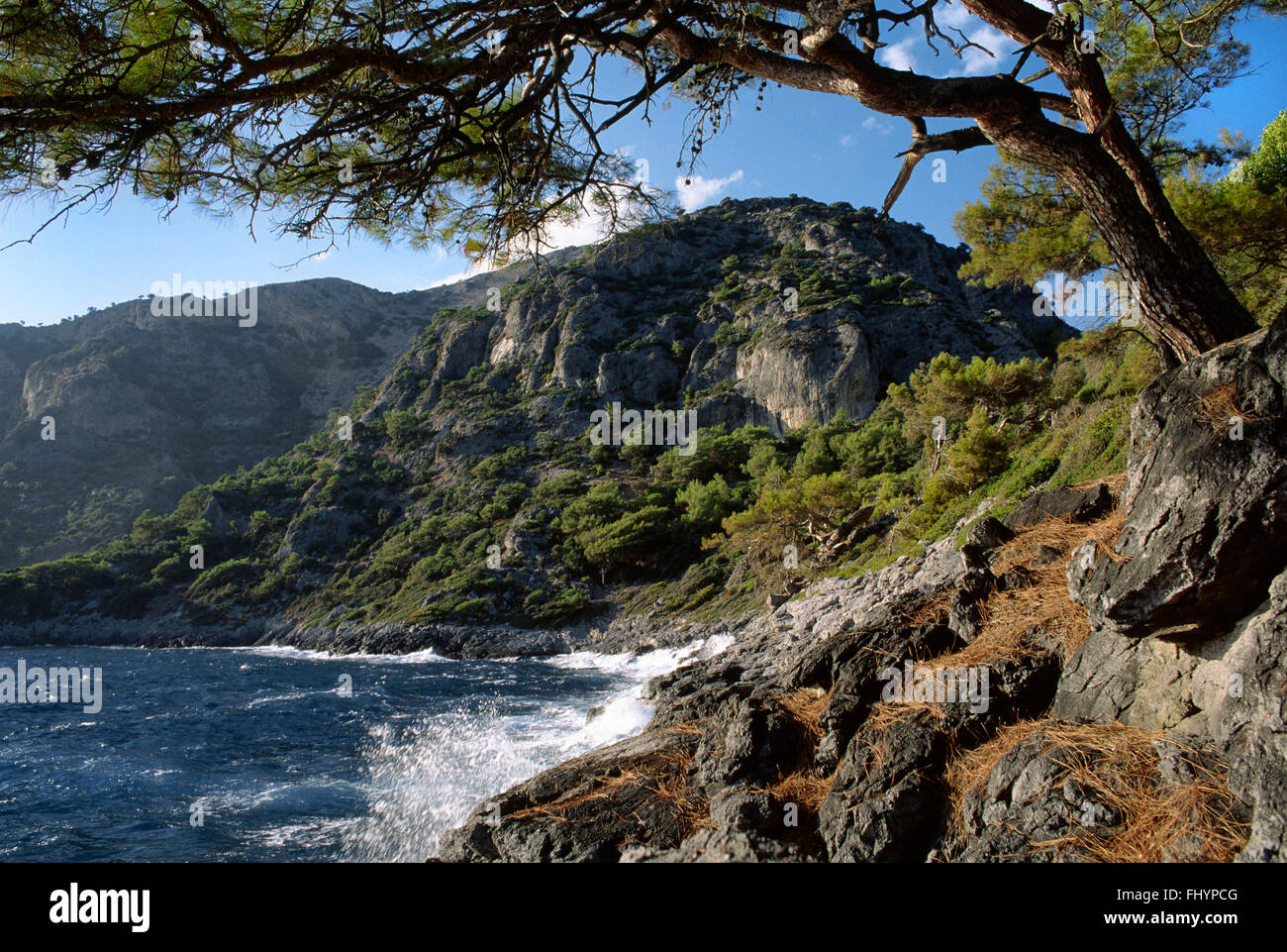 Un pin rouge s'accroche aux rochers au-dessus des eaux bleu azur de l'GUNGORMEZ - BAIE DE LIMANI côte turquoise, TURQUIE Banque D'Images