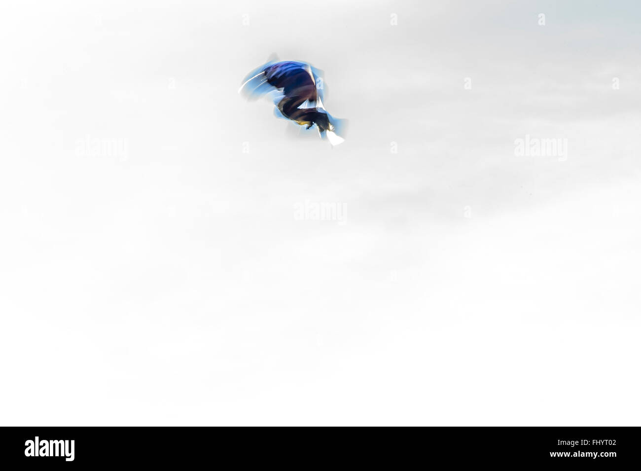 Oslo, Norvège. 26 Février, 2016 Le 2016 Winter X Games est arrivé à Oslo cette année, de sorte que les athlètes du monde entier de la ville norvégienne. L'événement se concentre sur les sports d'hiver, comme le ski et le snowboard. Photographié au cours de la Men's Snowboard Big Air chauffe est Kyle Mac. Matthew James / Alamy Live News Banque D'Images