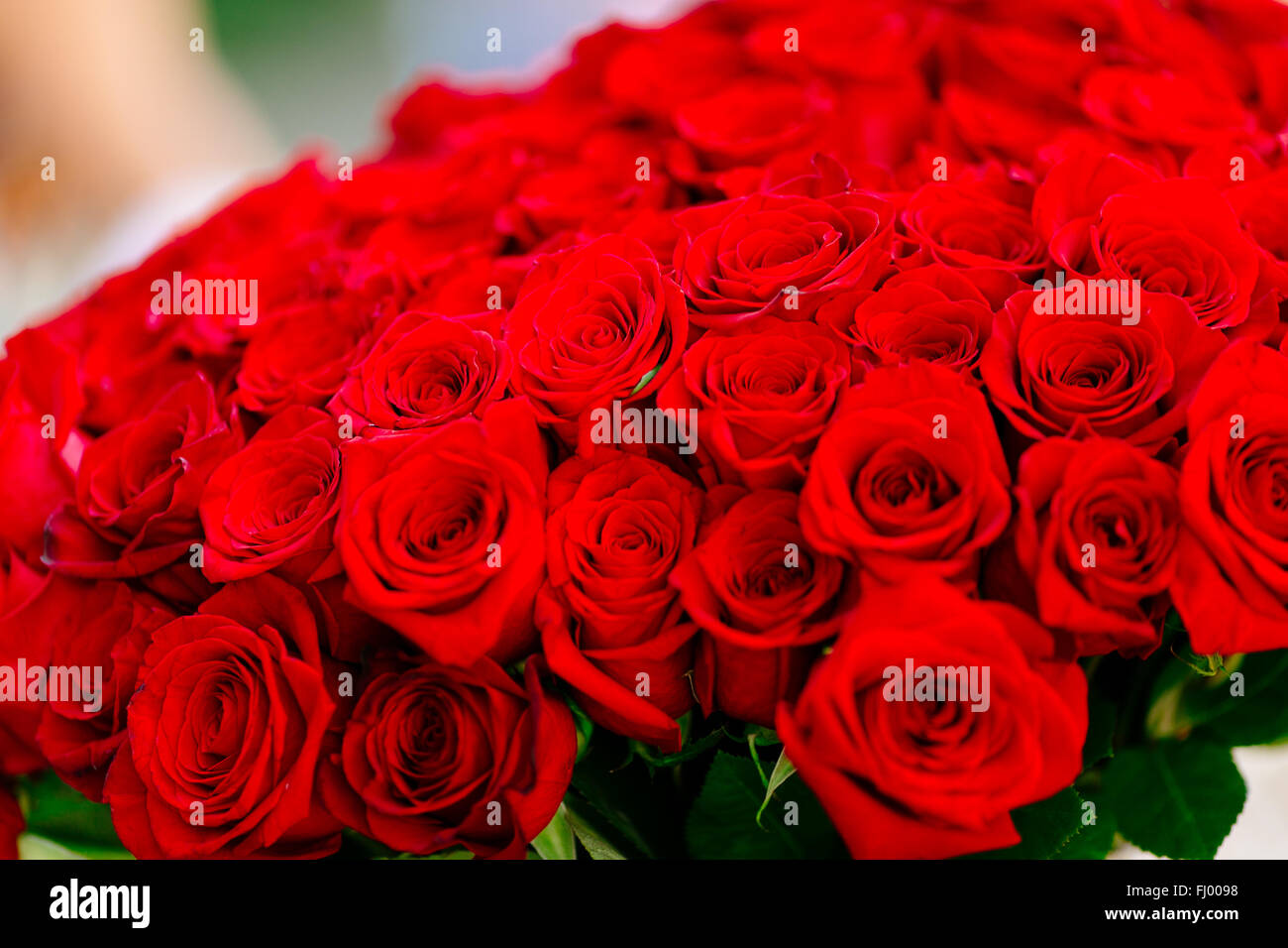Gros lot avec bouquet de roses rouges Banque D'Images