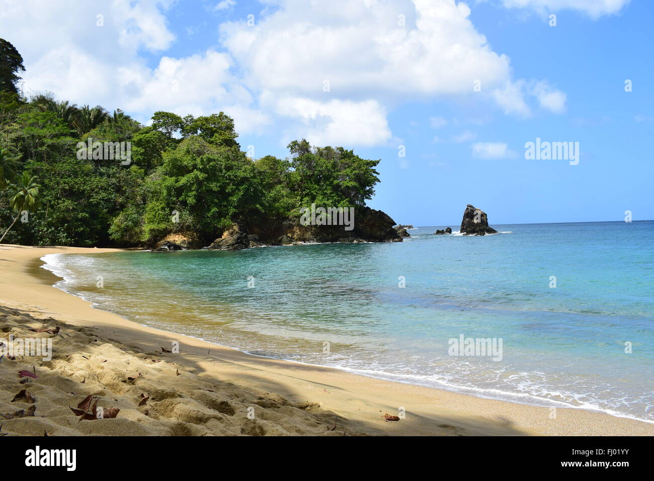 Les vagues rouler délicatement sur le rivage à Englishman's Bay, Tobago. Banque D'Images