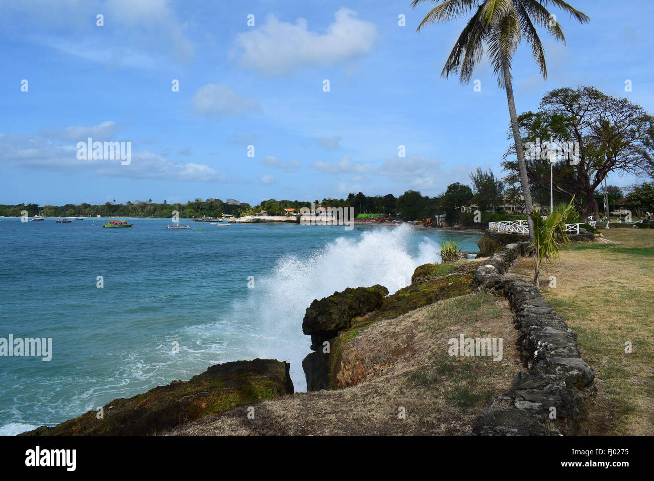 Vagues se brisant sur le rivage à Crown Point, Tobago Banque D'Images