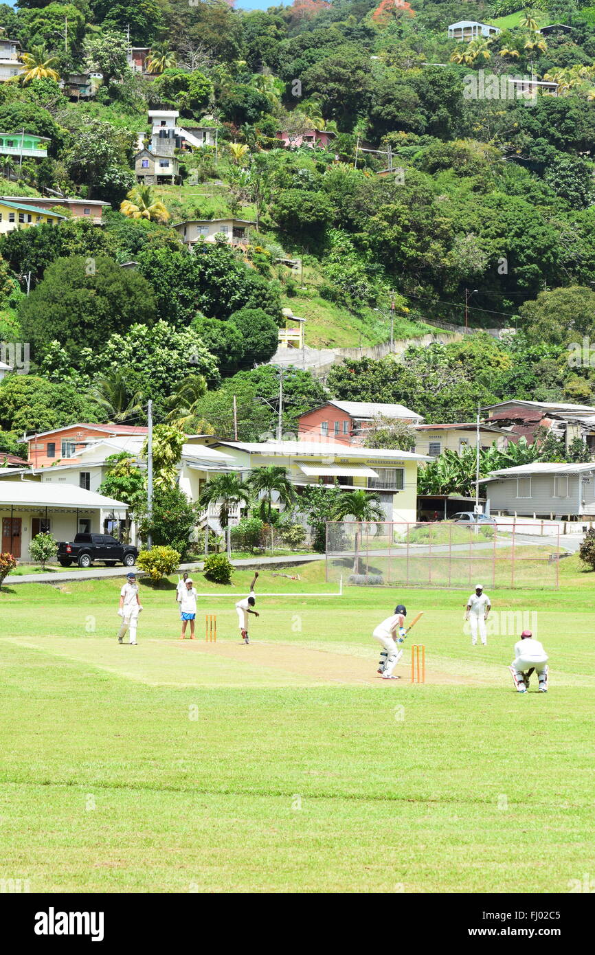 Un jeu de cricket à l'un des motifs les plus pittoresques au monde, Martinique, Tobago. Banque D'Images
