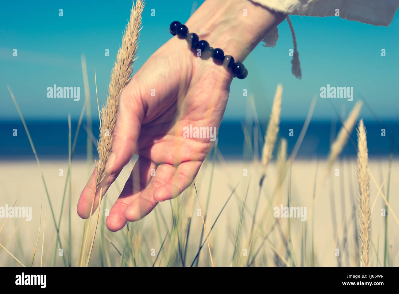 Woman's hand glisser à travers les herbes des dunes à la lumière du soleil sur la côte de la mer Banque D'Images