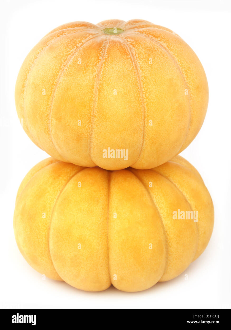 Cucumis melo melon ou de sous-continent indien Banque D'Images