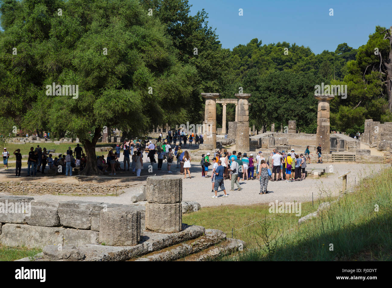 Olympie, Péloponnèse, Grèce. Ancienne Olympie. Restes du Temple de Héra, datant de la fin du 7ème siècle avant JC. Banque D'Images