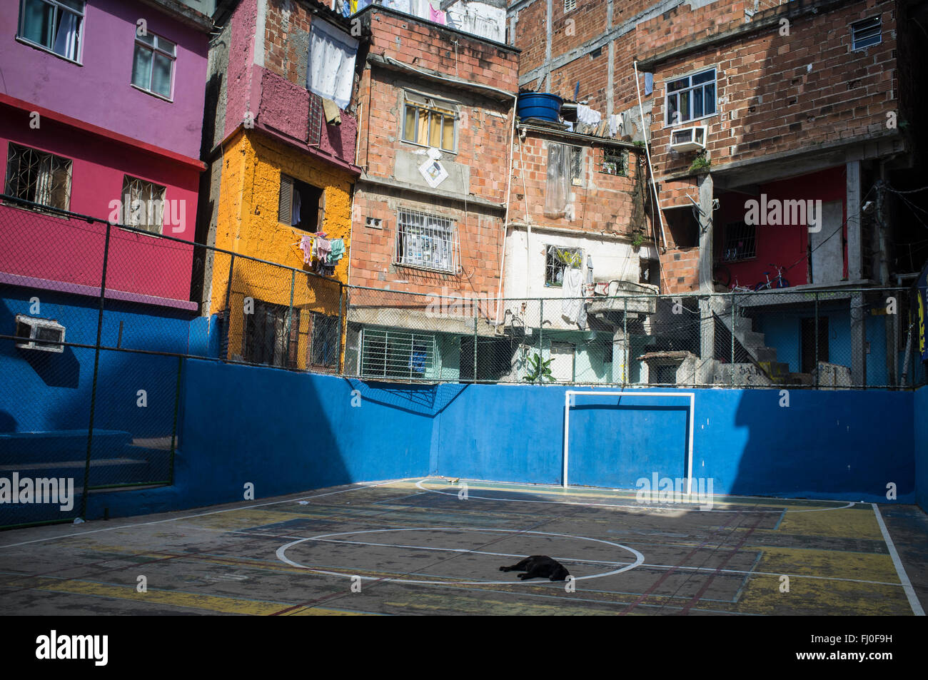 Chien dort sur le terrain de football coincé entre les bâtiments dans la favela Tavares Bastos, Rio de Janeiro, Brésil. Banque D'Images