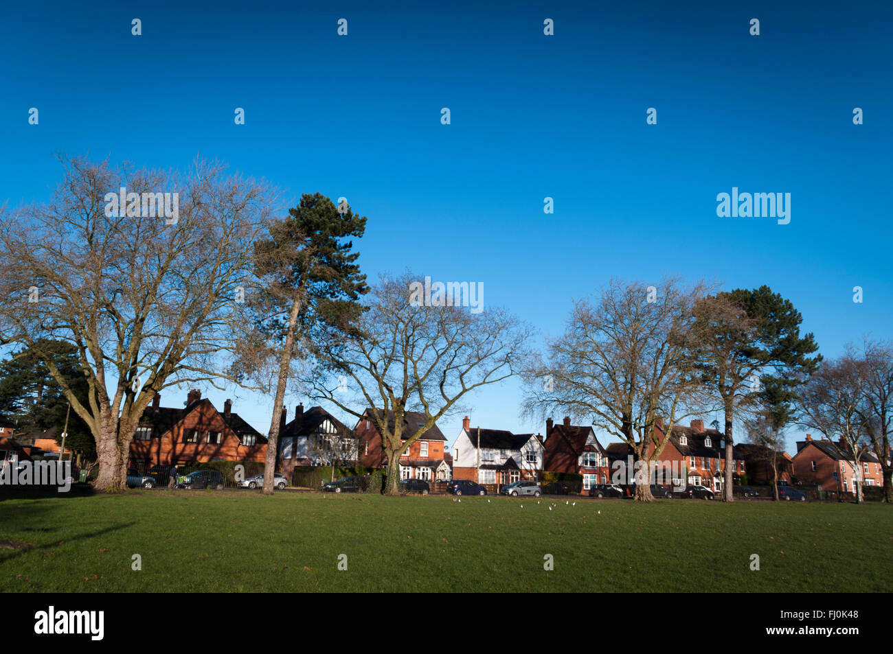 Ville arbres en hiver avec l'herbe en face de la rue et des maisons derrière. Banque D'Images