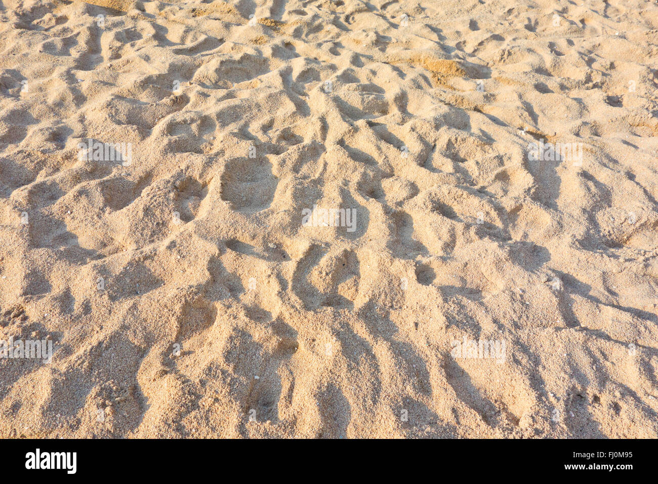 Une image de la plage de sable Banque D'Images