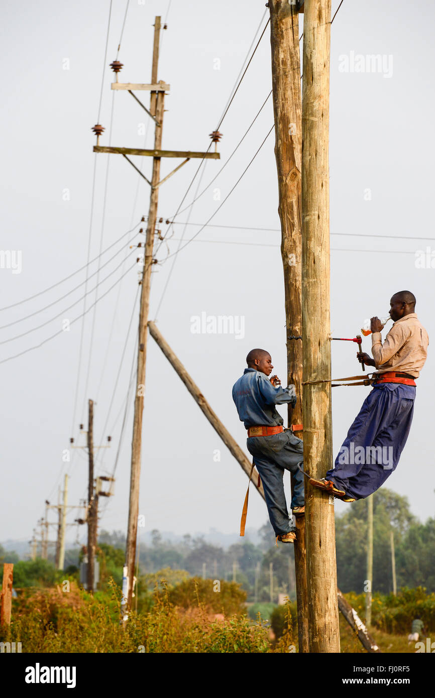 Le Comté de Kakamega, Kenya, l'électrification des zones rurales, la construction de la grille dans le village / KENIA, comté de Kakamega, Elektrifizierung Leitungsausbau laendliche, durch KenGen in einem Dorf Banque D'Images