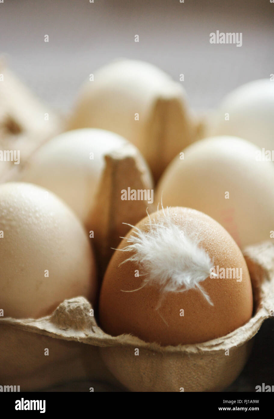 Demi-douzaine d'œufs dans une boîte avec une plume attachée Banque D'Images