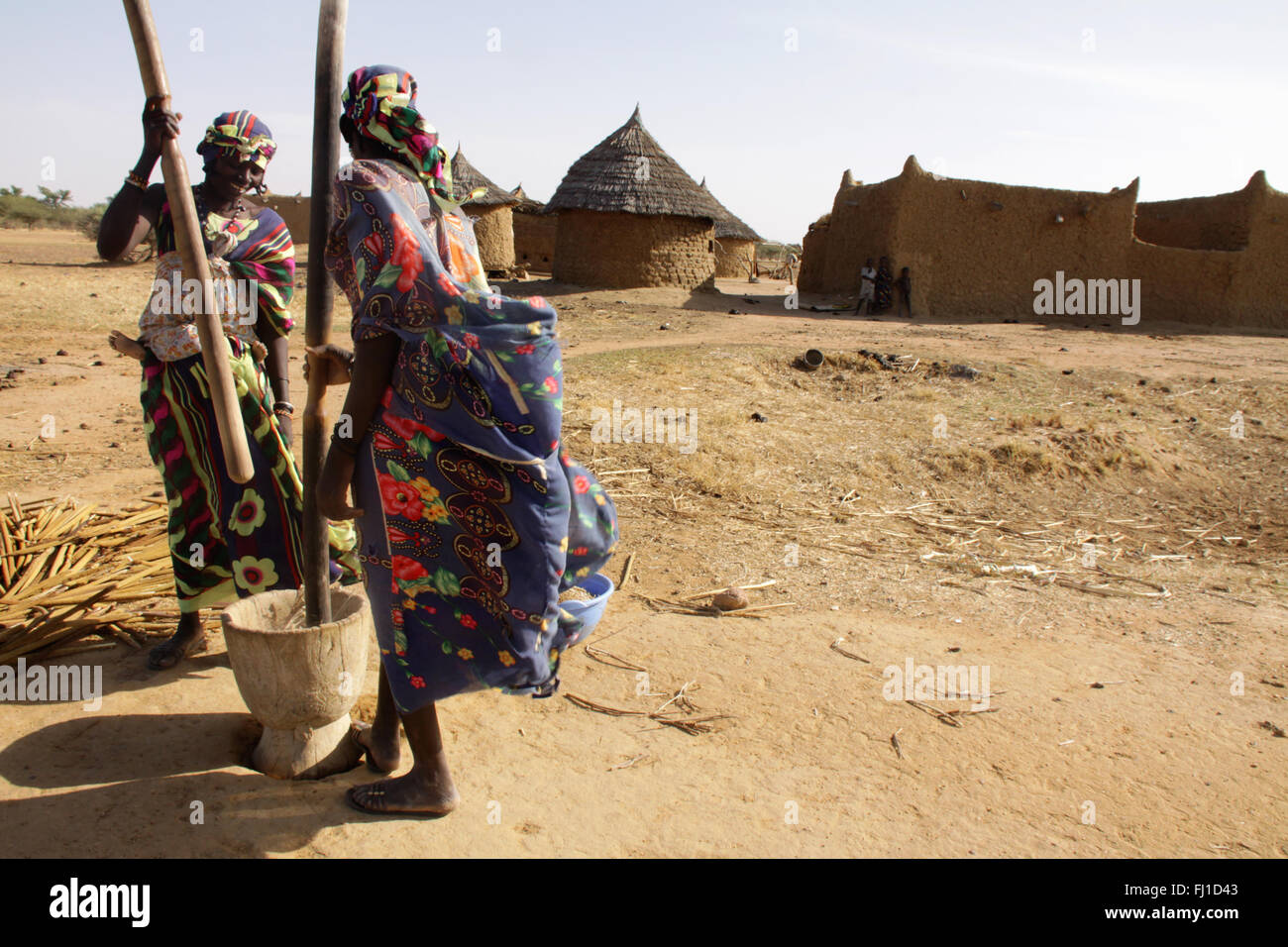 Battre les femmes peules traditionnelles millet dans village près de Gorom Gorom, région du Sahel, Burkina Faso Banque D'Images