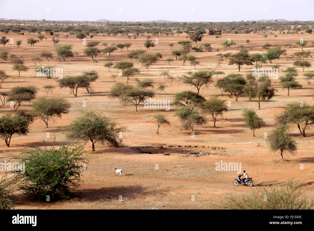 Paysage de la région du Sahel près de Gorom Gorom , Burkina Faso Banque D'Images