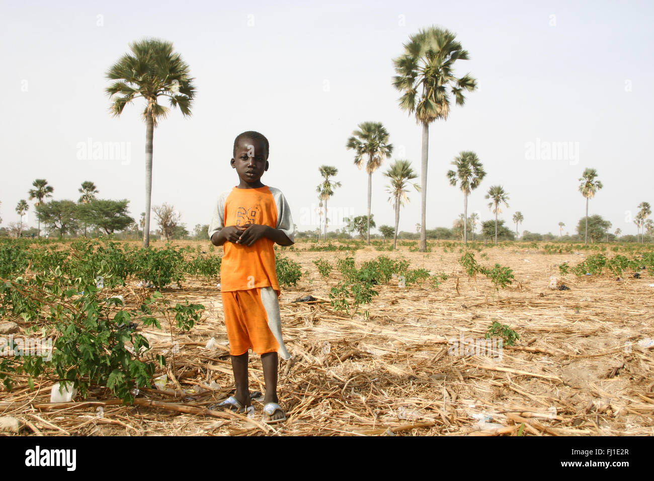 Portrait of black boy sénégalais au Sénégal , Afrique Banque D'Images