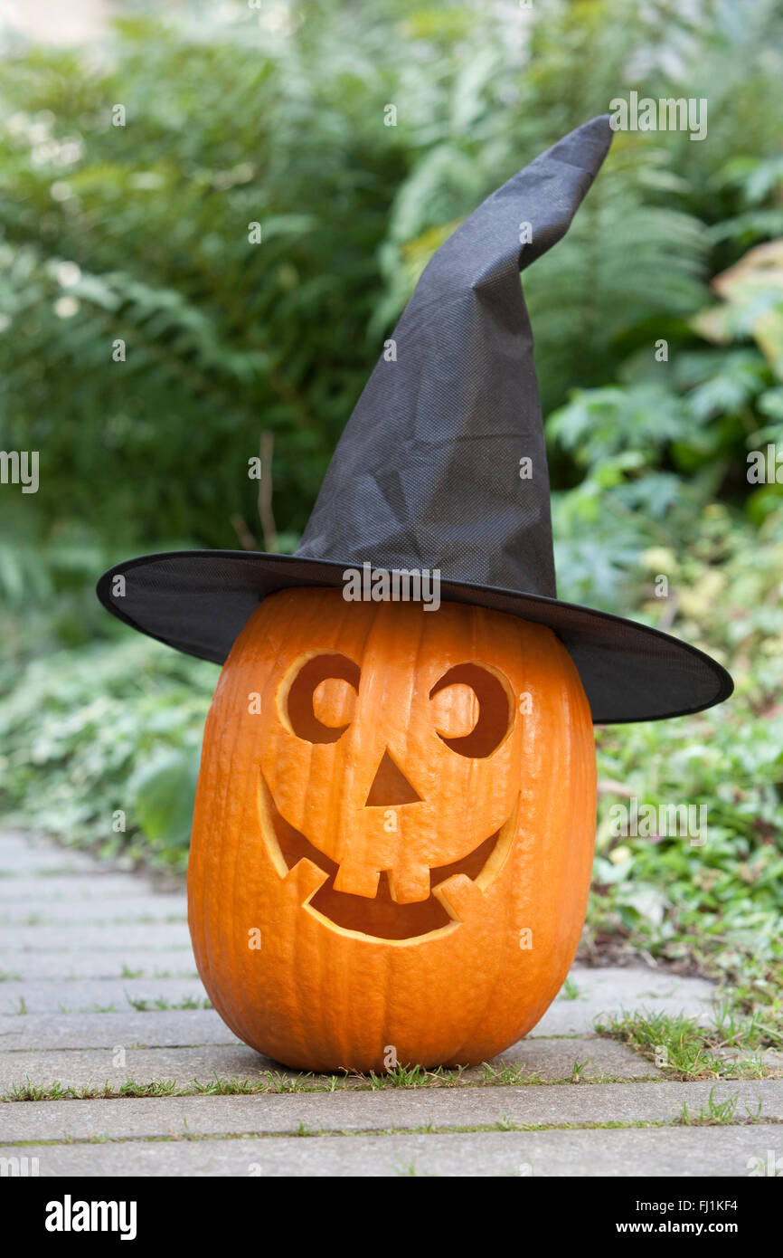 Halloween Citrouille avec Chapeau noir dans le jardin Banque D'Images Halloween Citrouille avec Chapeau noir dans le jardin Banque D'Images