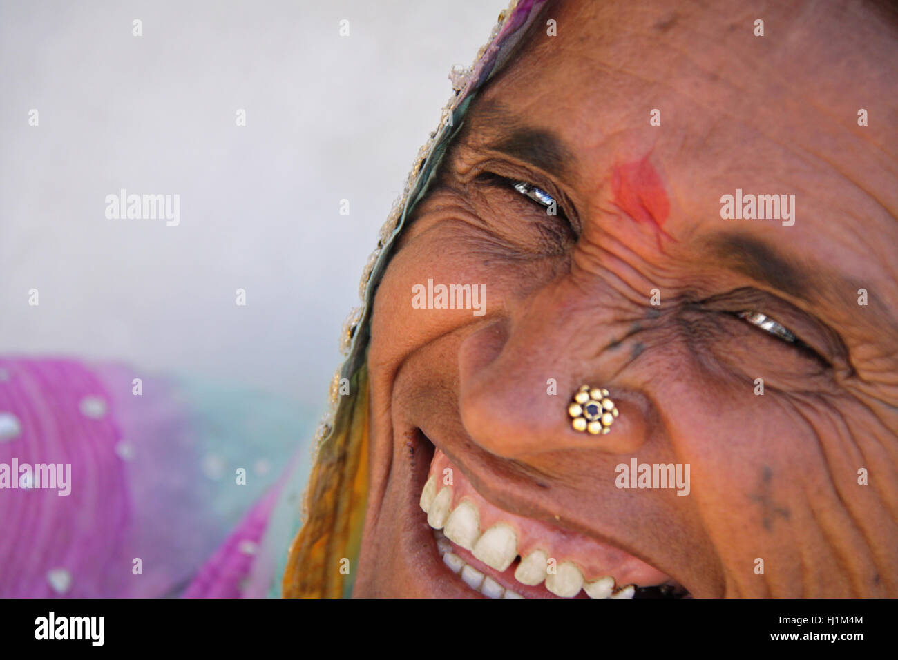 Smiling Gujarati femme avec tilak et anneau pour le nez , Inde Banque D'Images