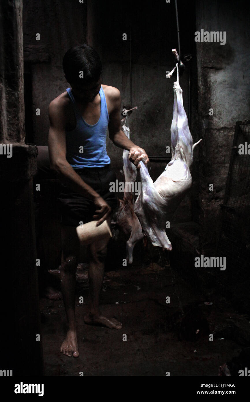 Abattoir boucherie à Jodhpur, Inde Banque D'Images