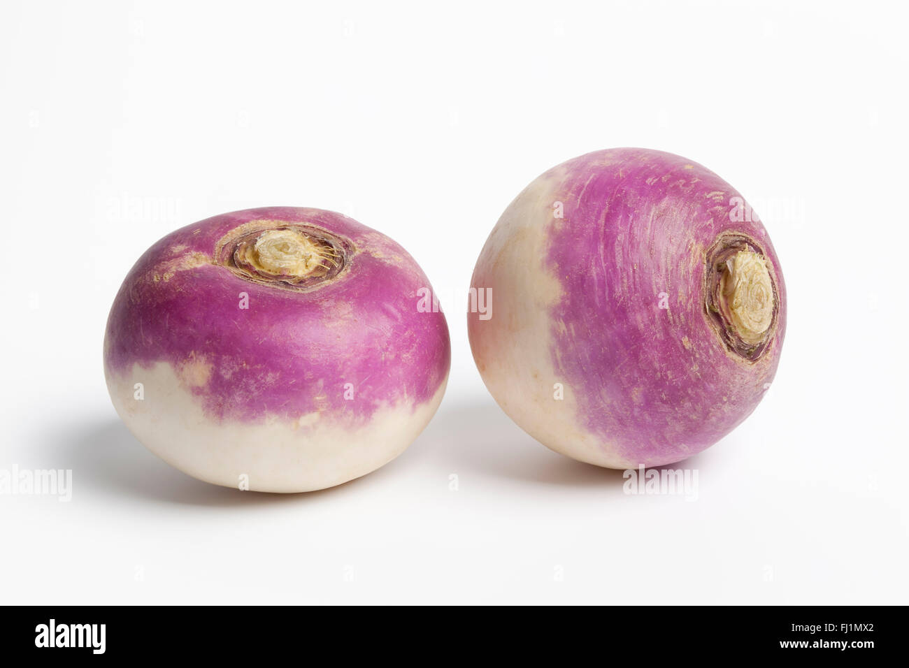 Deux nouvelles matières ensemble tête violet navet sur fond blanc Banque D'Images