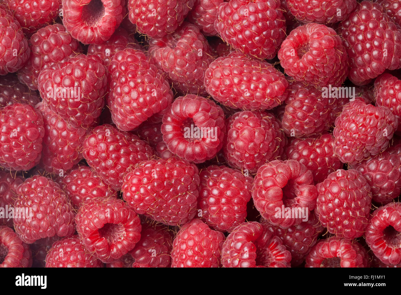 Framboises mûres fraîches close up full frame Banque D'Images