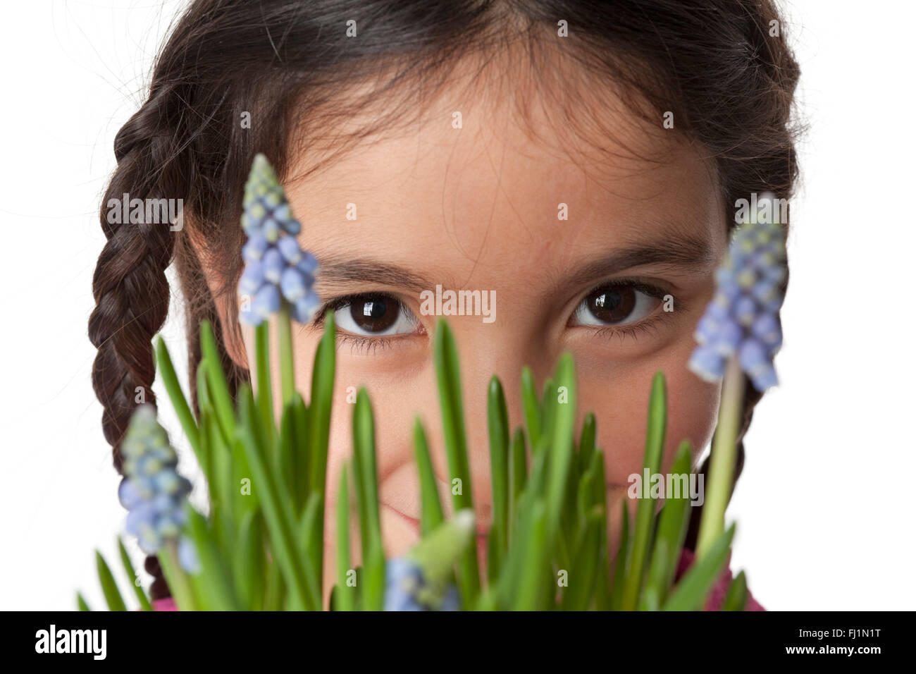 Printemps, portrait d'une petite fille aux fleurs muscari sur fond blanc Banque D'Images