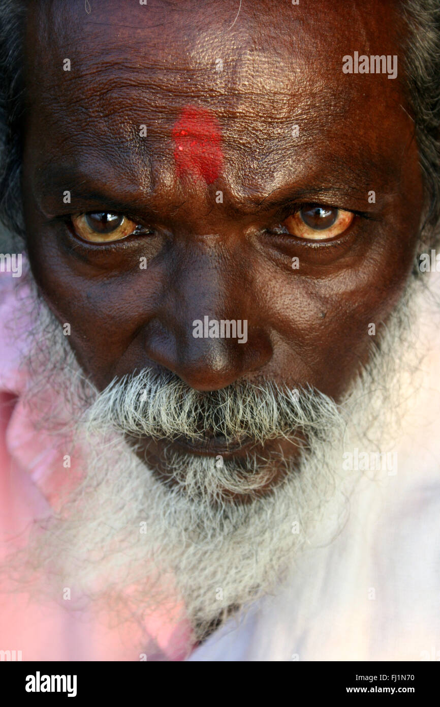 HSadhu avec tilak et tandis que beard dans Kanyakumari - Inde Banque D'Images