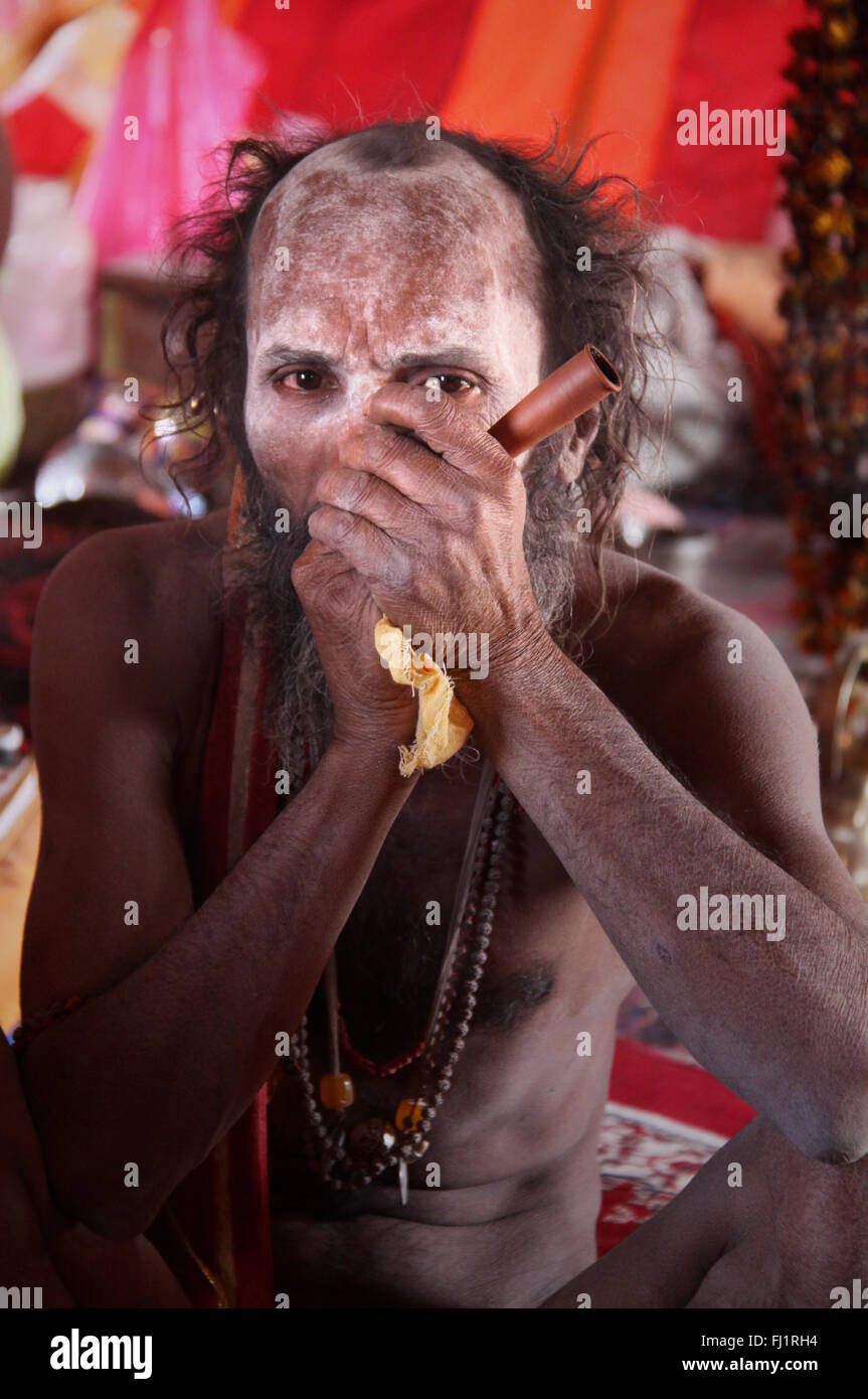 Fumeurs chillum chilim Naga sadhu Kumbh Mela à Haridwar , en Inde Banque D'Images