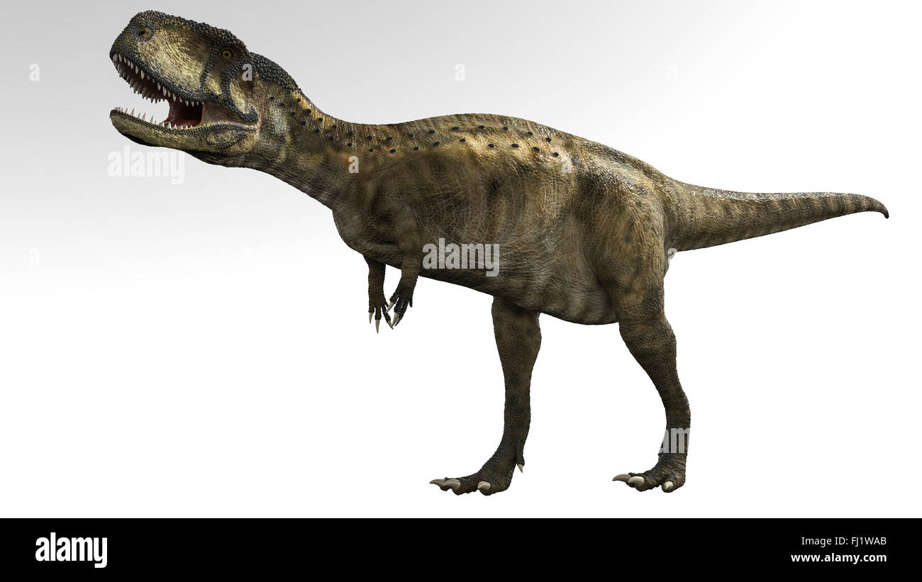 Abelisaurus est un genre de dinosaure théropode abelisauridé prédateur vivant à la fin du Crétacé Banque D'Images