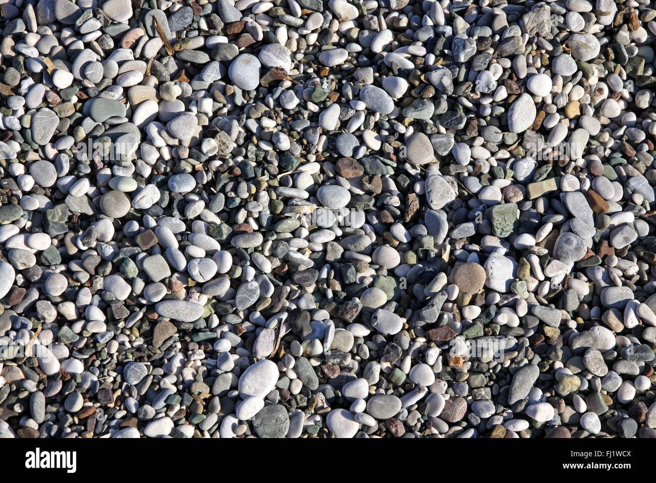 Vue rapprochée des différentes pierres arrondies sur la plage Banque D'Images