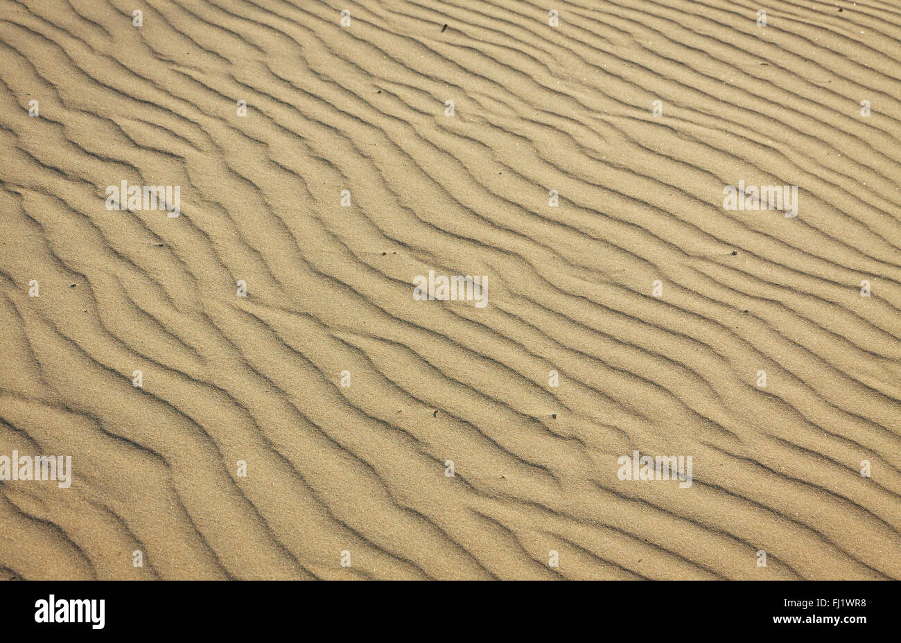 Arrière-plan de petites dunes de sable sur la plage Banque D'Images