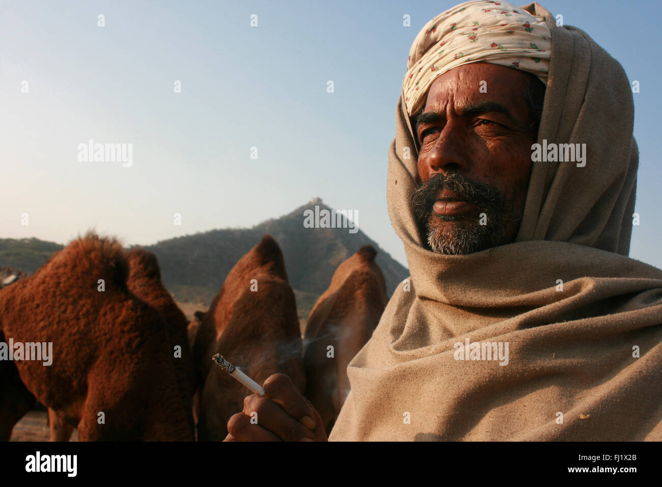 Portrait de l'homme hindou indien du Rajasthan Rajasthan Pushkar mela Pushkar- pendant juste de chameau au Rajasthan, Inde Banque D'Images