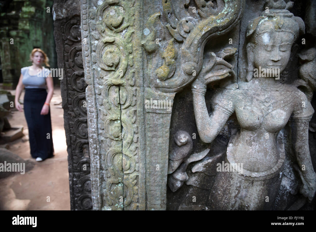 L'intérieur de l'Apsara Ta Prohm, Siem Reap , Cambodge Banque D'Images