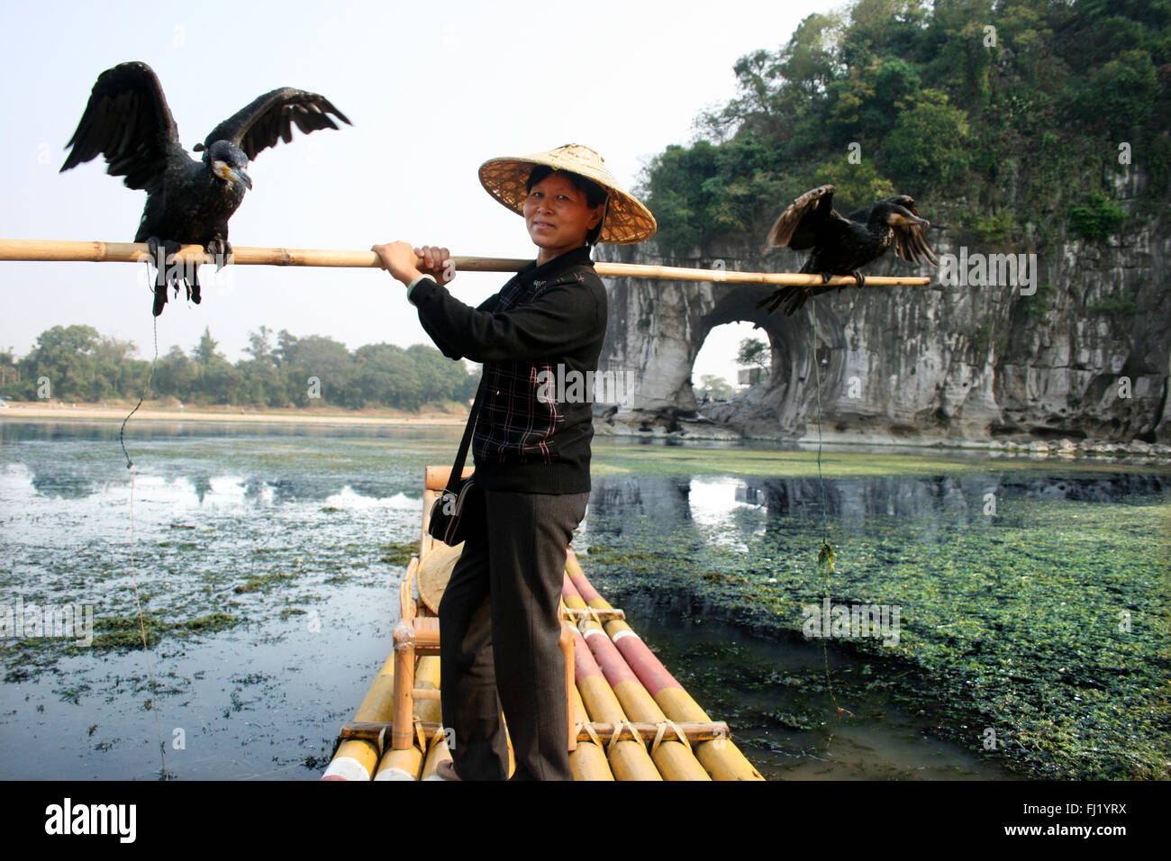 Femme à la pêche au cormoran Elephant Rock , Guilin , Chine Banque D'Images
